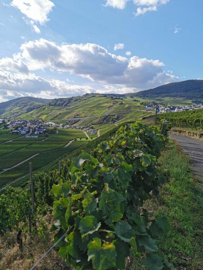 BeilingenCasa Eifel别墅 外观 照片